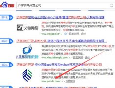 seo优化济南软件开发公司关键词案例