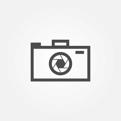 关键词排名快速优化